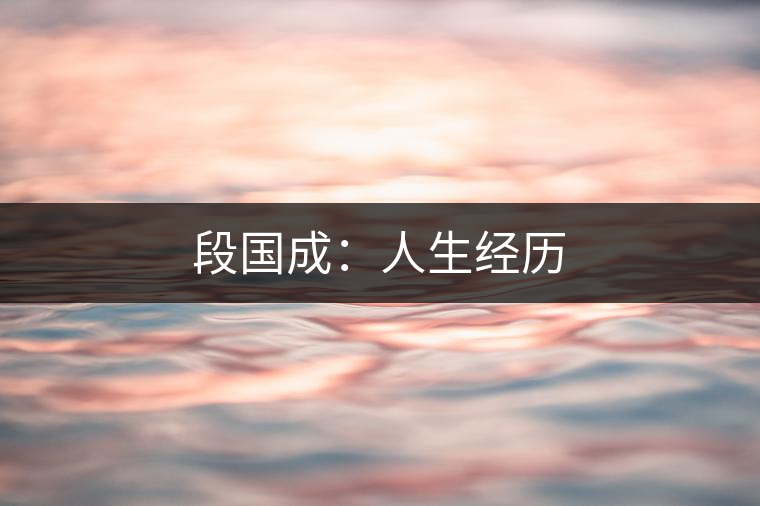 段國(guó)成：人生經(jīng)歷