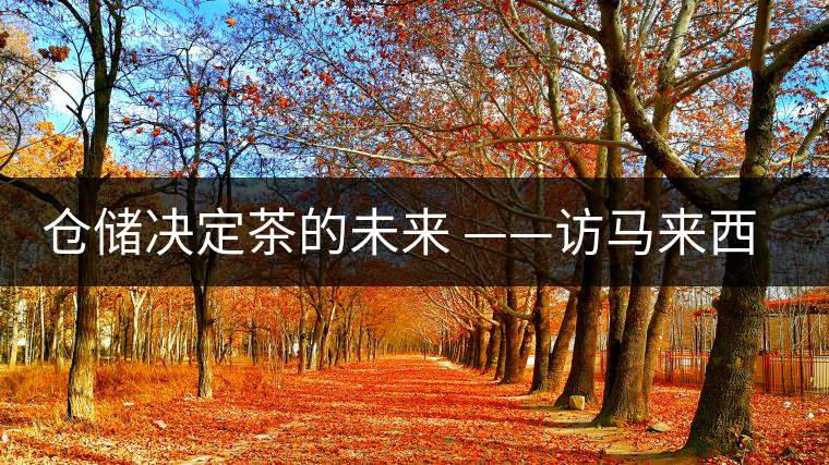 倉儲(chǔ)決定茶的未來 ——訪馬來西亞資深茶人 郭俊邦