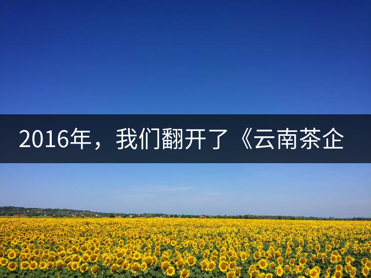 2016年，我們翻開(kāi)了《云南茶企發(fā)展白皮書(shū)》