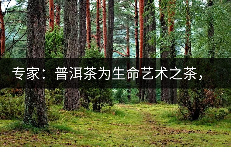 專家：普洱茶為生命藝術(shù)之茶，現(xiàn)低價(jià)時(shí)期可投資收茶