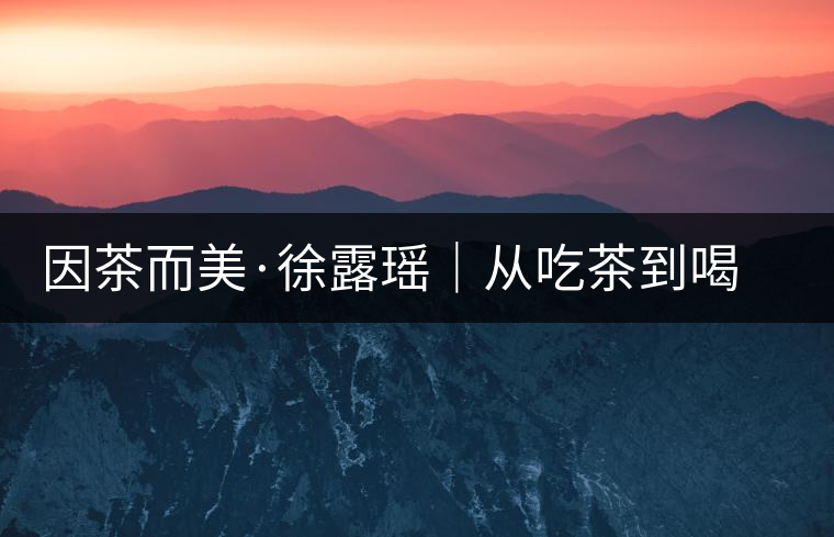 因茶而美·徐露瑤|從吃茶到喝茶的日子 因茶而美·徐露瑤|從吃茶到喝茶的日子