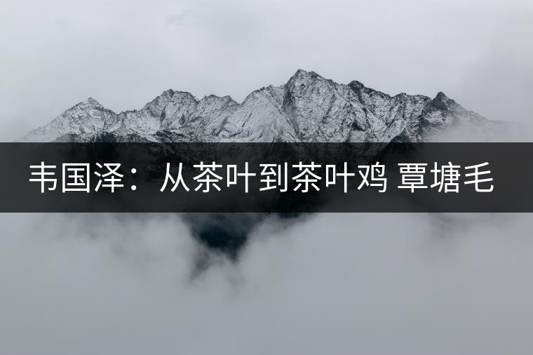 韋國澤：從茶葉到茶葉雞 覃塘毛尖茶三代傳承
