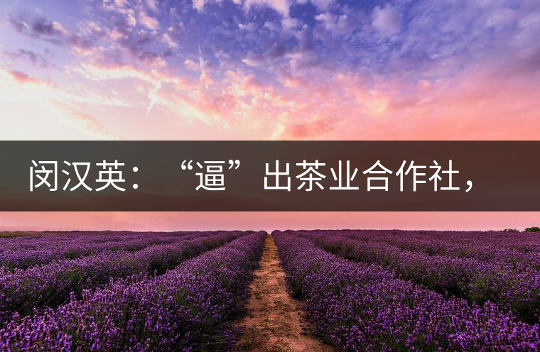 閔漢英：“逼”出茶業(yè)合作社，帶領(lǐng)村民走上致富路