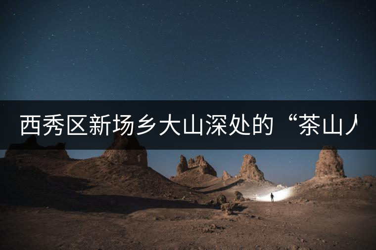 西秀區(qū)新場鄉(xiāng)大山深處的“茶山人家”