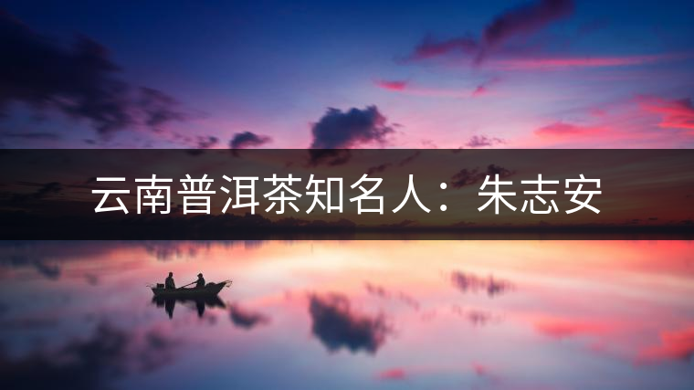 云南普洱茶知名人：朱志安