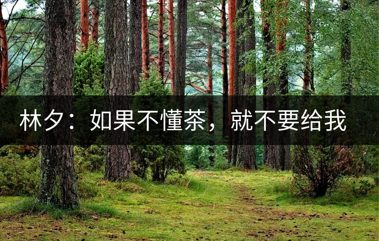 林夕：如果不懂茶，就不要給我送茶