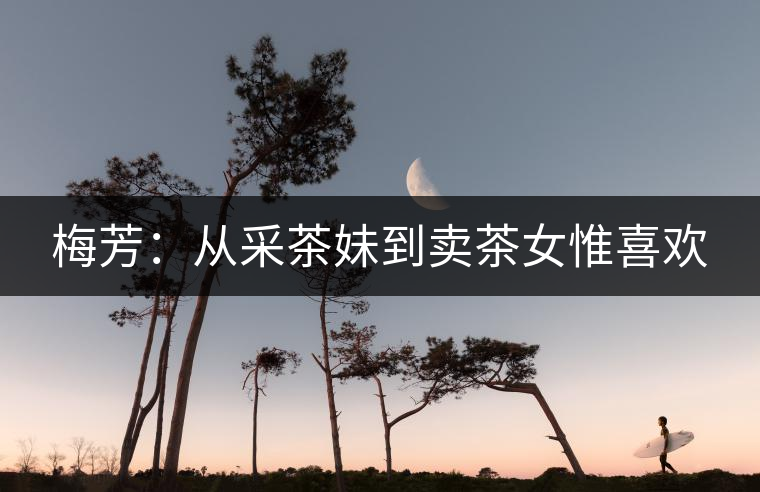 梅芳:從采茶妹到賣茶女惟喜歡 梅芳:從采茶妹到賣茶女惟喜歡