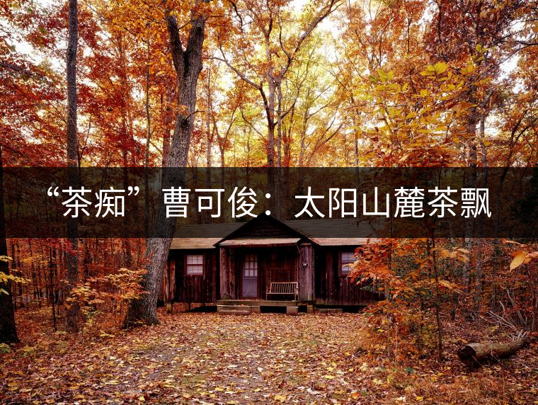 “茶癡”曹可?。禾柹铰床栾h香，清明時節(jié)采茶忙