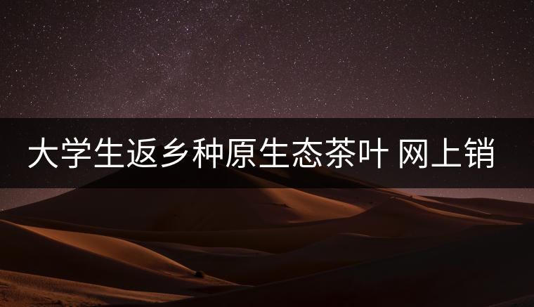 大學(xué)生返鄉(xiāng)種原生態(tài)茶葉 網(wǎng)上銷售獲好評 大學(xué)生返鄉(xiāng)種原生態(tài)茶葉 網(wǎng)上銷售獲好評