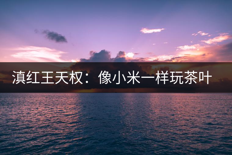 滇紅王天權:像小米一樣玩茶葉粉絲經(jīng)濟 滇紅王天權:像小米一樣玩茶葉粉絲經(jīng)濟