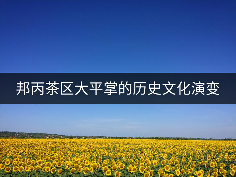 邦丙茶區(qū)大平掌的歷史文化演變