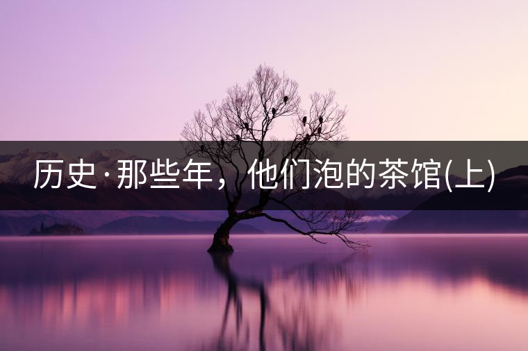 歷史·那些年，他們泡的茶館(上)