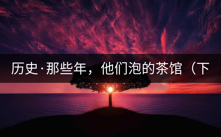 歷史·那些年，他們泡的茶館（下）