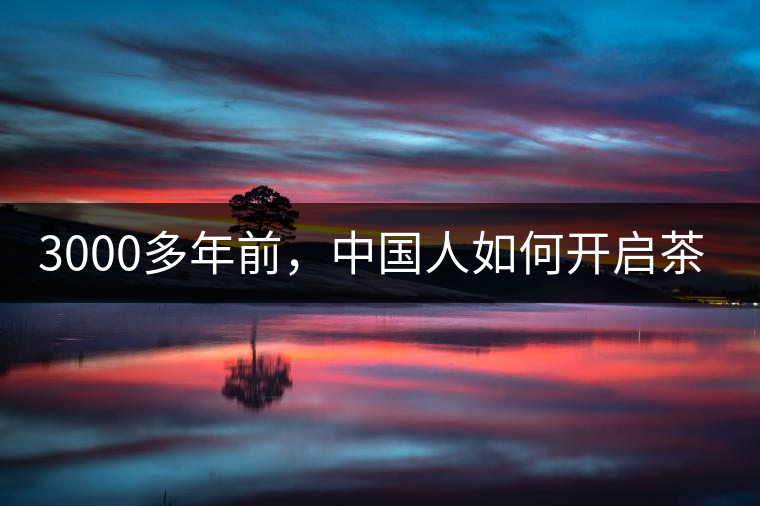 3000多年前，中國人如何開啟茶生活？