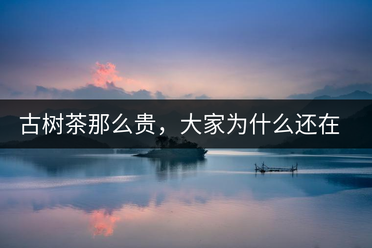 古樹茶那么貴，大家為什么還在瘋狂追求？