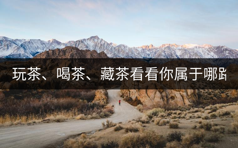 玩茶、喝茶、藏茶看看你屬于哪路茶神！