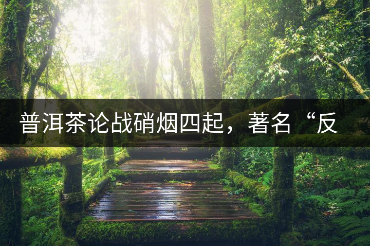 普洱茶論戰(zhàn)硝煙四起，著名“反偽斗士”司馬南有話說