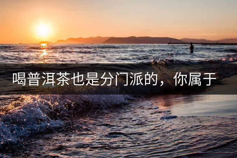 喝普洱茶也是分門派的，你屬于哪派呢？