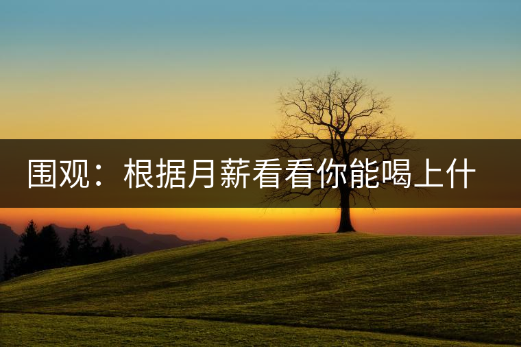 圍觀：根據(jù)月薪看看你能喝上什么茶？