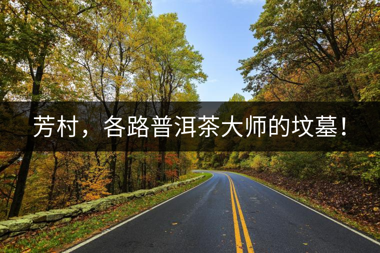 芳村,各路普洱茶大師的墳?zāi)梗? alt=