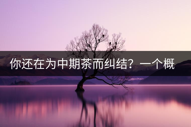 你還在為中期茶而糾結(jié)？一個概念罷了