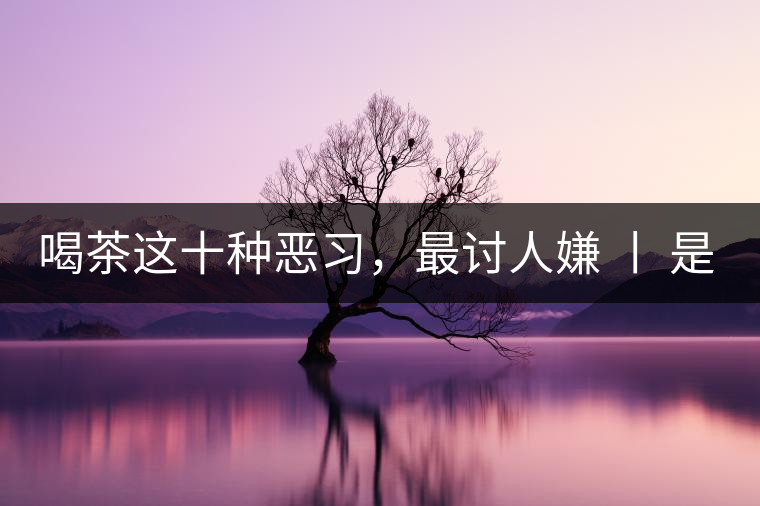 喝茶這十種惡習，最討人嫌 丨 是否同感？