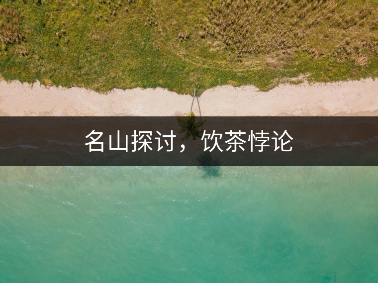 名山探討，飲茶悖論