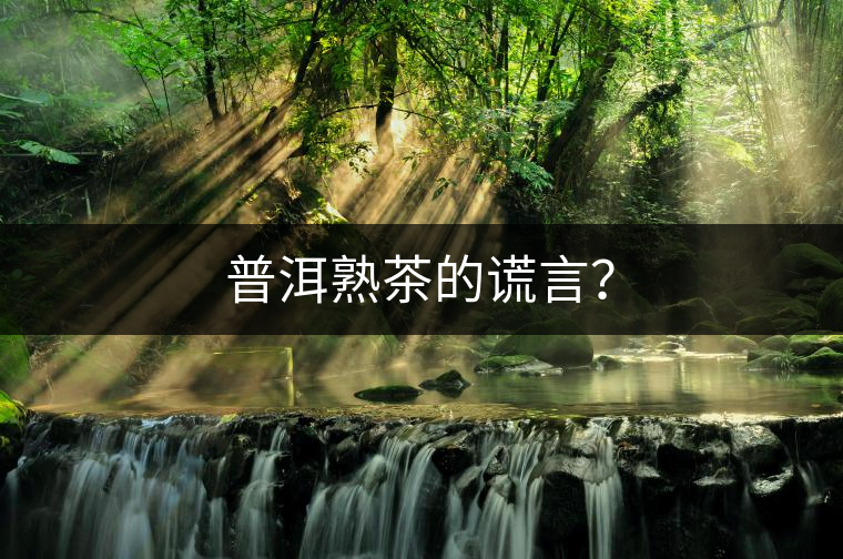 普洱熟茶的謊言？