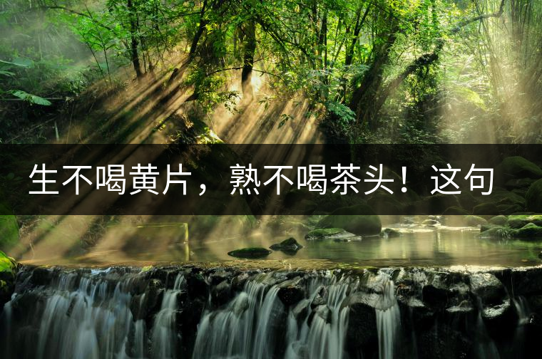 生不喝黃片，熟不喝茶頭！這句話你了解多少？
