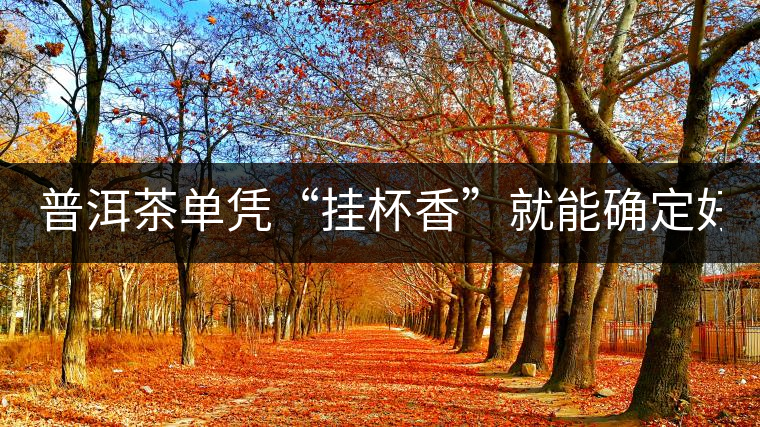 普洱茶單憑“掛杯香”就能確定好壞？you錯了！