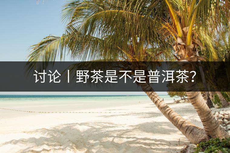 討論丨野茶是不是普洱茶？