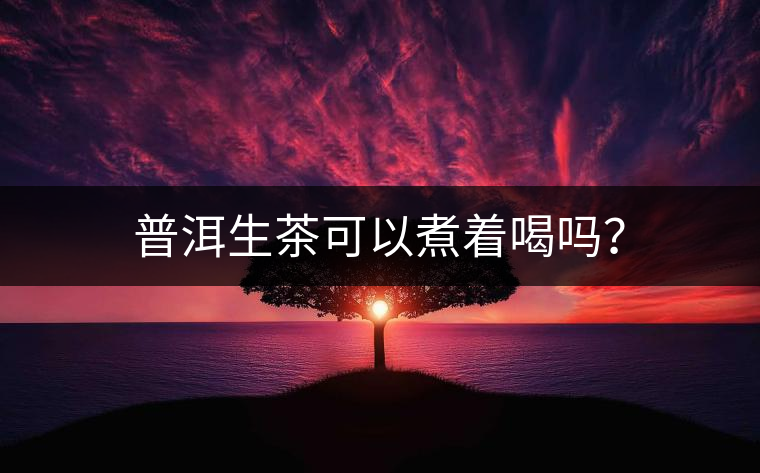 普洱生茶可以煮著喝嗎？