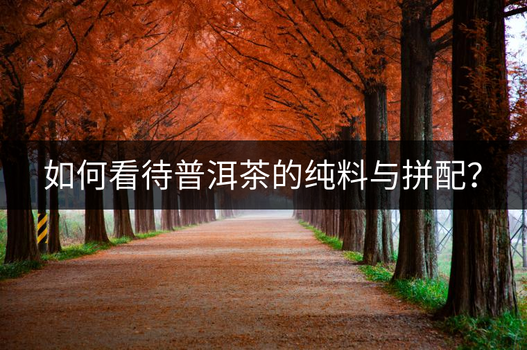 如何看待普洱茶的純料與拼配？