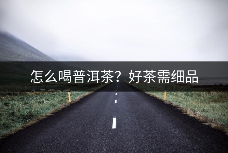 怎么喝普洱茶？好茶需細(xì)品