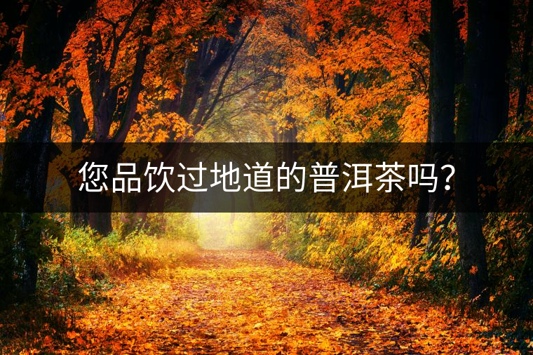您品飲過地道的普洱茶嗎？