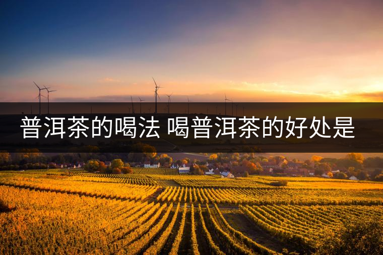 普洱茶的喝法 喝普洱茶的好處是什么？