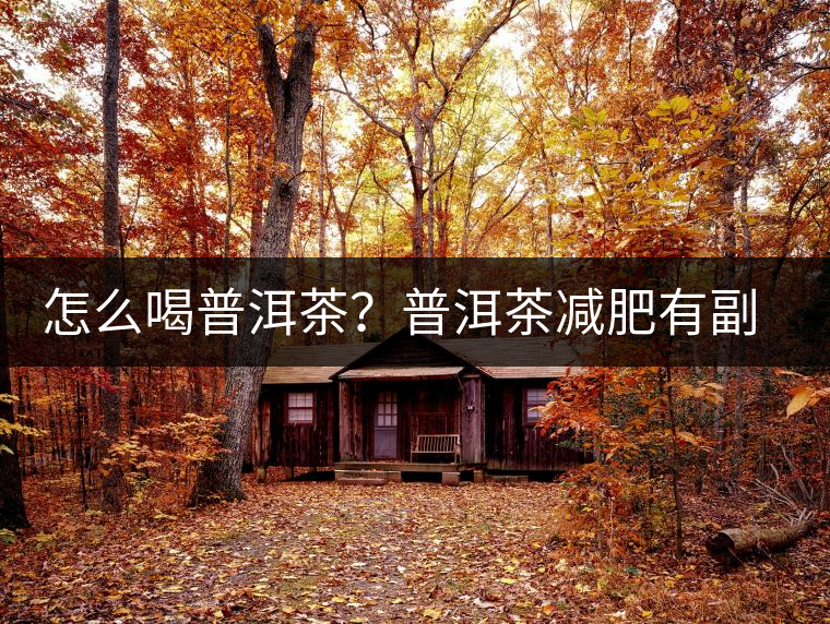 怎么喝普洱茶？普洱茶減肥有副作用嗎？