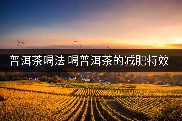 普洱茶喝法 喝普洱茶的減肥特效是什么呢？