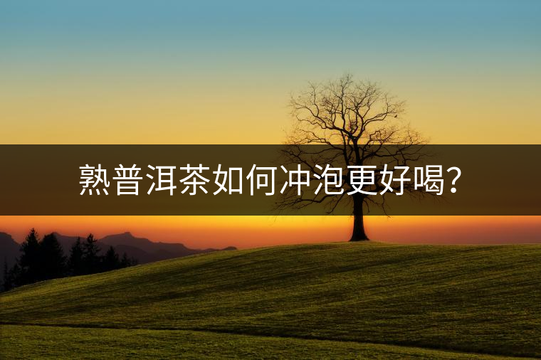 熟普洱茶如何沖泡更好喝？