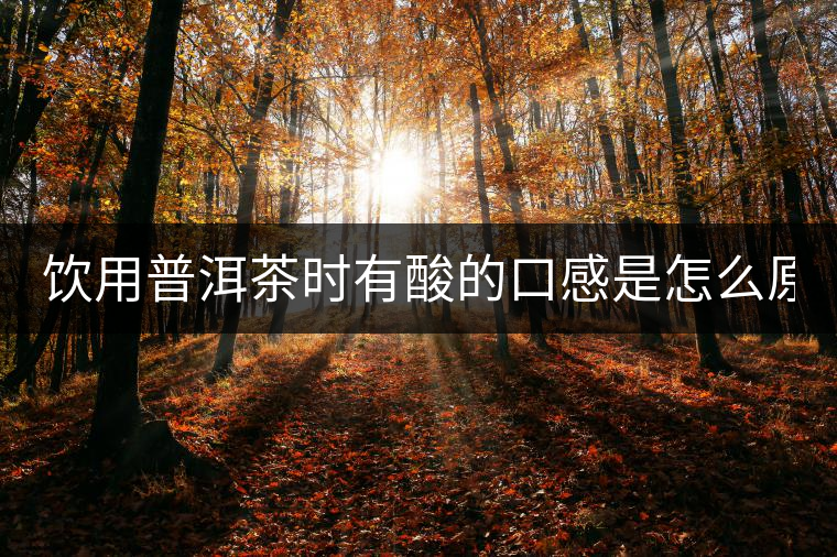 飲用普洱茶時有酸的口感是怎么原因？