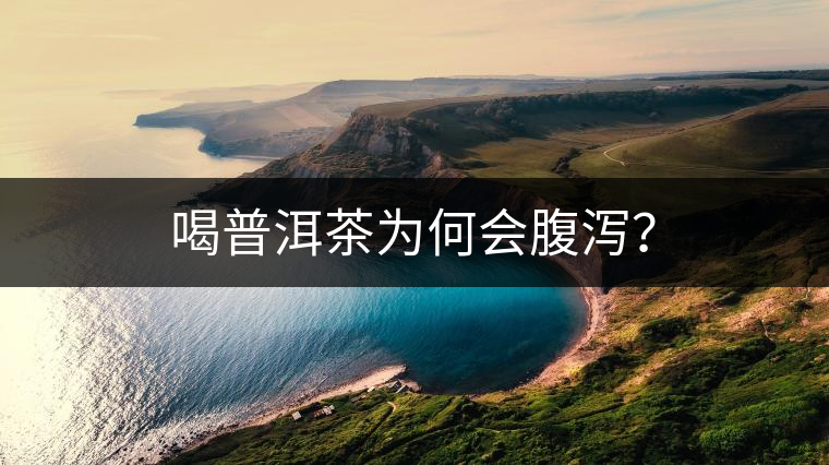 喝普洱茶為何會腹瀉？