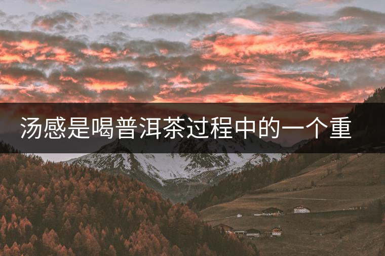 湯感是喝普洱茶過(guò)程中的一個(gè)重要感覺(jué)