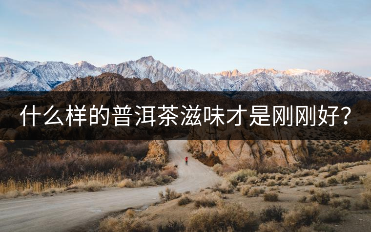 什么樣的普洱茶滋味才是剛剛好？