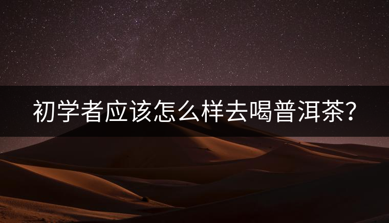 初學者應該怎么樣去喝普洱茶？