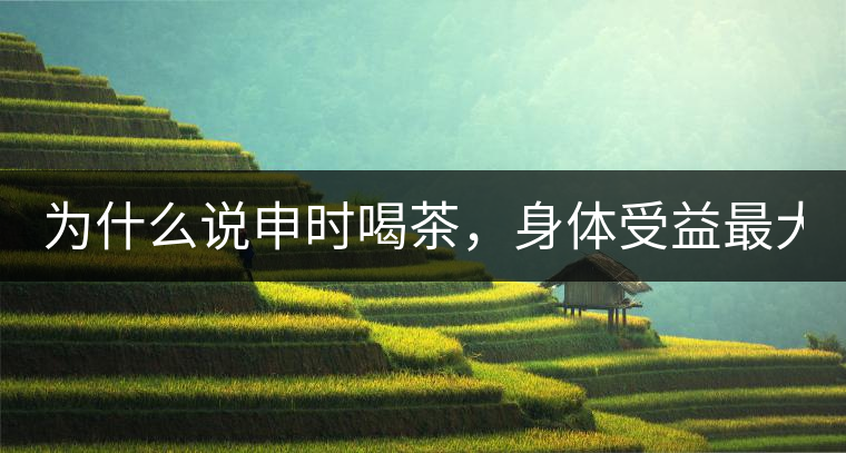 為什么說(shuō)申時(shí)喝茶，身體受益最大？