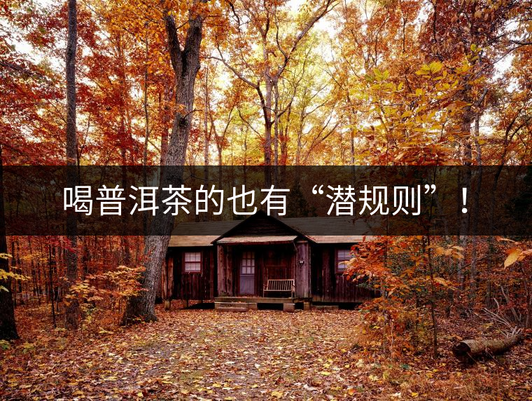 喝普洱茶的也有“潛規(guī)則”！