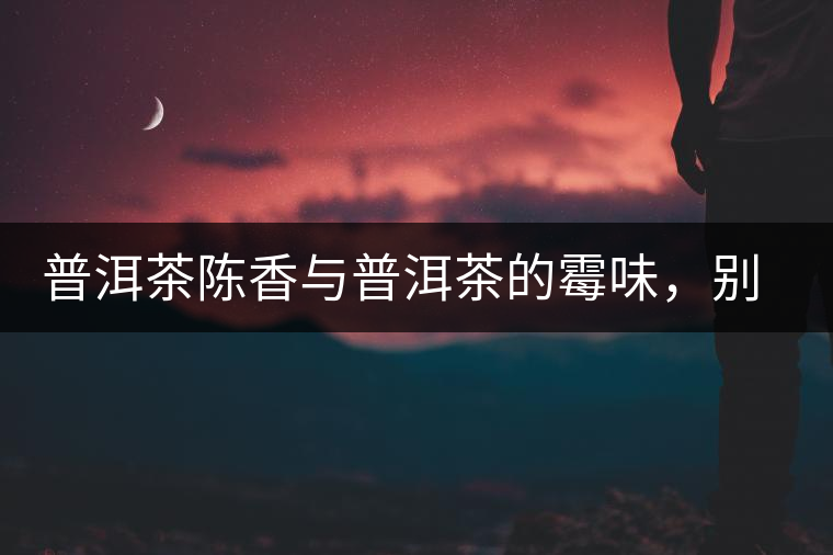 普洱茶陳香與普洱茶的霉味，別把它們給搞混了