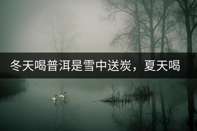 冬天喝普洱是雪中送炭，夏天喝就是火上澆油了？