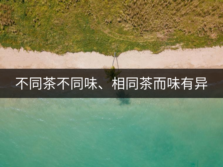 不同茶不同味、相同茶而味有異