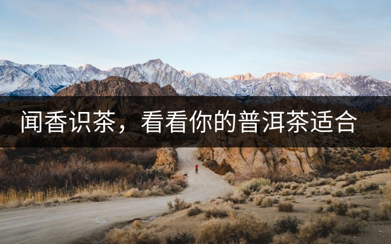 聞香識茶，看看你的普洱茶適合現(xiàn)在喝還是以后喝？